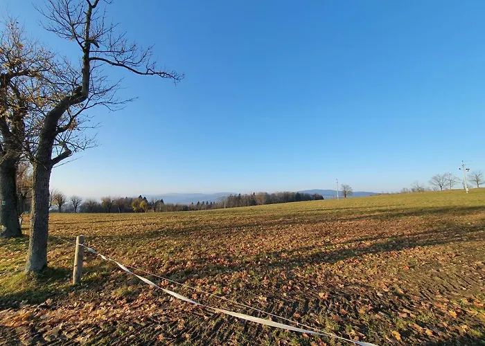 Horska Vyhlidka 公寓 *